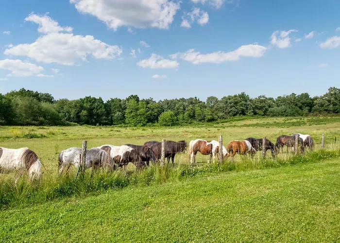 Charmante Maison Avec Piscine Lacropte